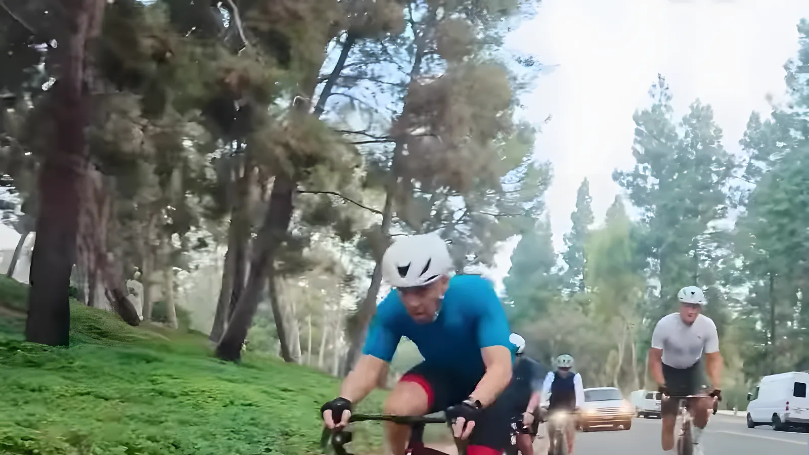 Bus Stop group riding under tall pine trees